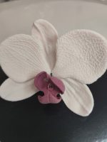 Lepke Orchidea Több szín  1 db