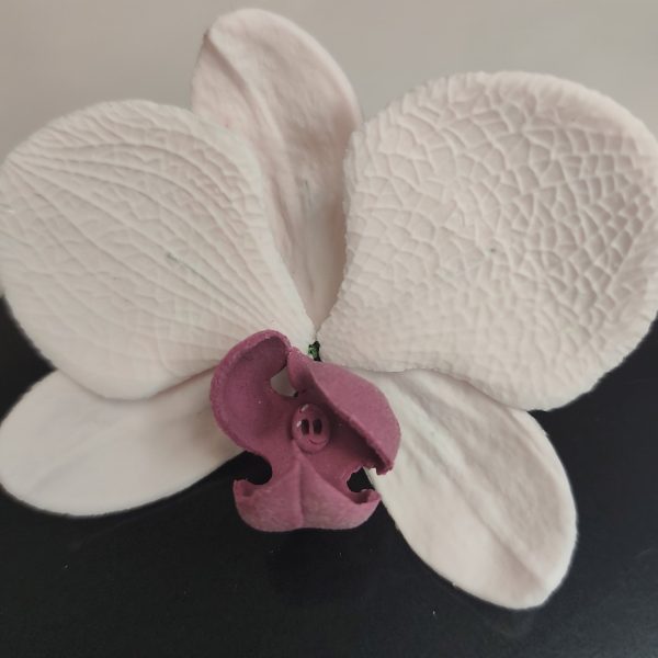 Lepke Orchidea Több szín  1 db