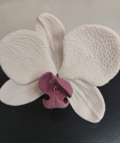 Lepke Orchidea Több szín  1 db